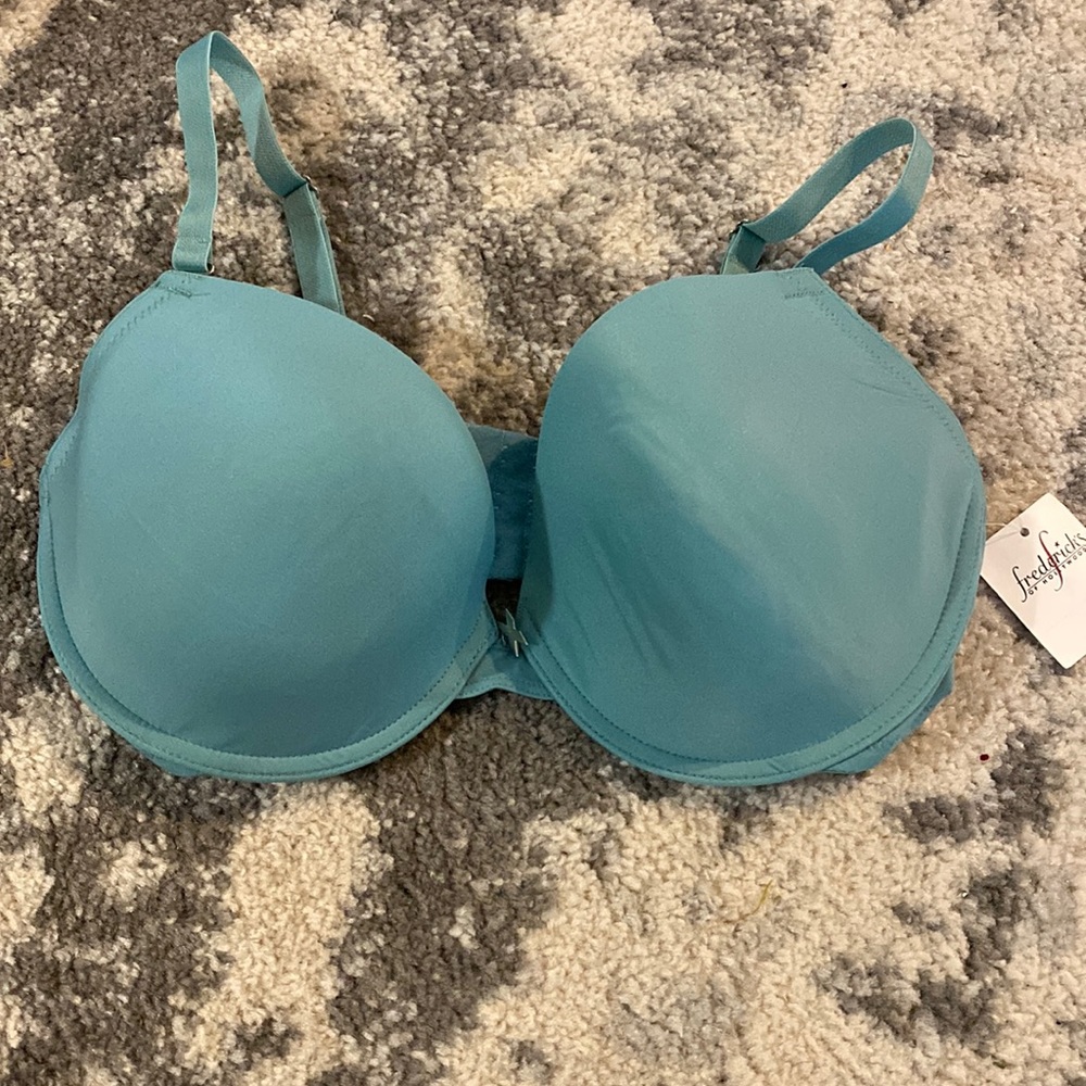 Aqua Fredrick’s bra